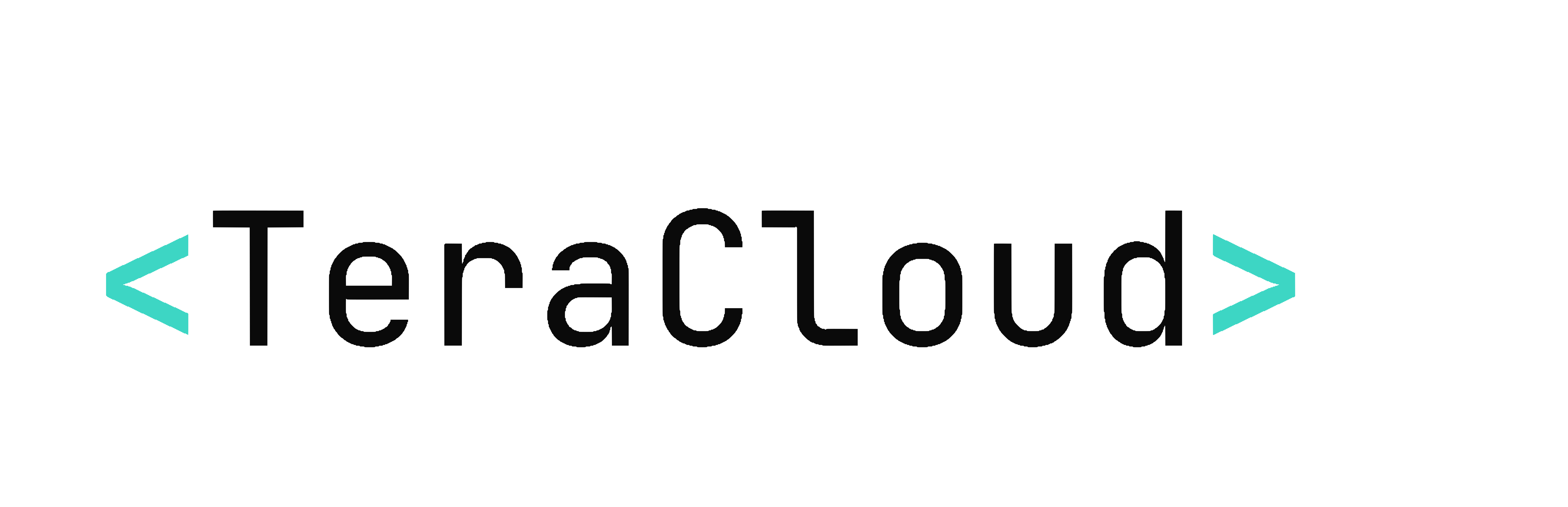 TeraCloud AI wordmark