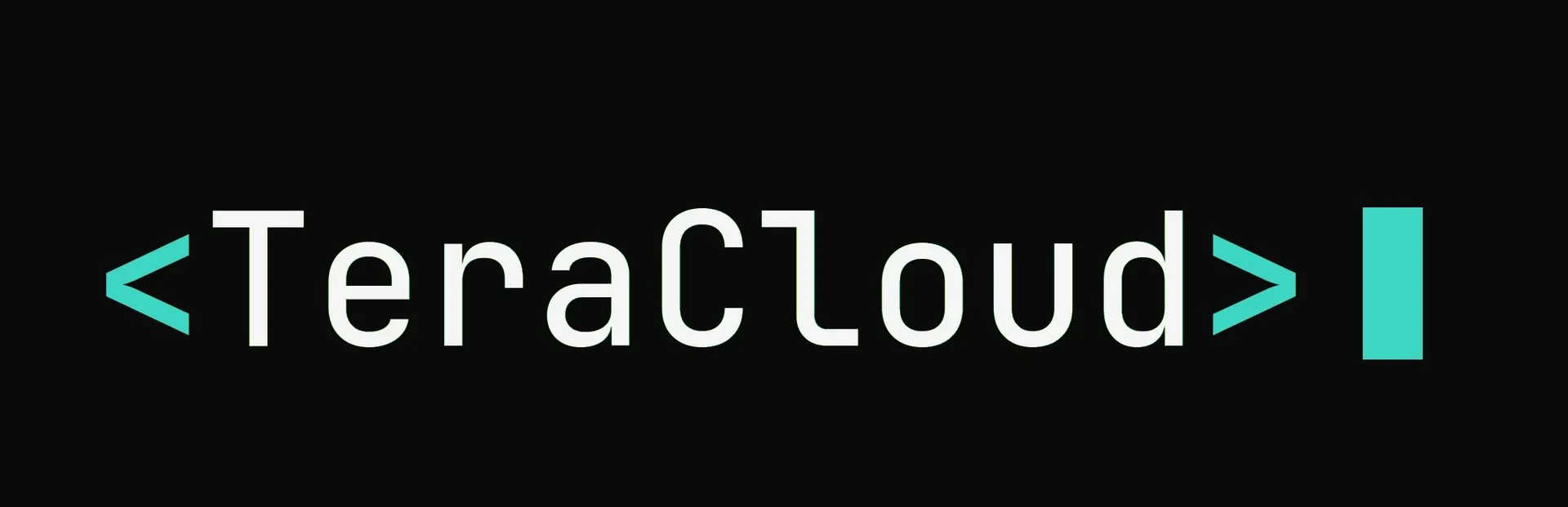 TeraCloud AI wordmark