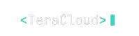 TeraCloud wordmark